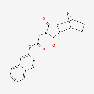 molecular formula C21H19NO4 B4064382 naphthalen-2-yl (1,3-dioxooctahydro-2H-4,7-methanoisoindol-2-yl)acetate 