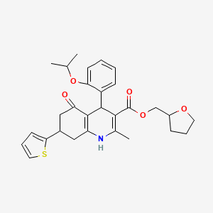 molecular formula C29H33NO5S B4073712 Tetrahydrofuran-2-ylmethyl 2-methyl-5-oxo-4-[2-(propan-2-yloxy)phenyl]-7-(thiophen-2-yl)-1,4,5,6,7,8-hexahydroquinoline-3-carboxylate 