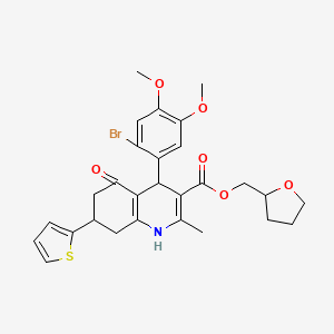 molecular formula C28H30BrNO6S B4074000 Tetrahydrofuran-2-ylmethyl 4-(2-bromo-4,5-dimethoxyphenyl)-2-methyl-5-oxo-7-(thiophen-2-yl)-1,4,5,6,7,8-hexahydroquinoline-3-carboxylate 