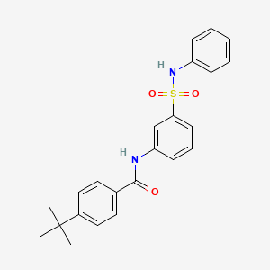 molecular formula C23H24N2O3S B4076511 N-[3-(anilinosulfonyl)phenyl]-4-tert-butylbenzamide 