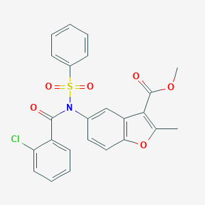 molecular formula C24H18ClNO6S B407659 Methyl 5-[(2-chlorobenzoyl)(phenylsulfonyl)amino]-2-methyl-1-benzofuran-3-carboxylate CAS No. 448212-96-2