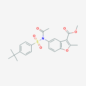 molecular formula C23H25NO6S B407677 Methyl 5-{acetyl[(4-tert-butylphenyl)sulfonyl]amino}-2-methyl-1-benzofuran-3-carboxylate CAS No. 448213-93-2