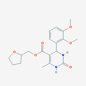 molecular formula C19H24N2O6 B408492 tetrahydrofuran-2-ylmethyl 4-(2,3-dimethoxyphenyl)-6-methyl-2-oxo-1,2,3,4-tetrahydropyrimidine-5-carboxylate 