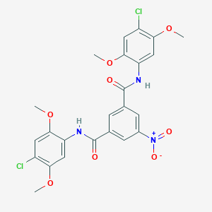 molecular formula C24H21Cl2N3O8 B408845 N1,N3-BIS(4-CHLORO-2,5-DIMETHOXYPHENYL)-5-NITROBENZENE-1,3-DICARBOXAMIDE 