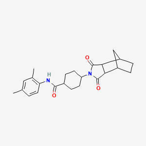 molecular formula C24H30N2O3 B4103794 N-(2,4-dimethylphenyl)-4-(1,3-dioxooctahydro-2H-4,7-methanoisoindol-2-yl)cyclohexanecarboxamide 