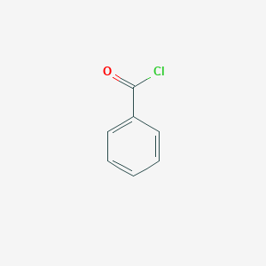molecular formula C7H5ClO<br>C6H5COCl<br>C6H5COCl<br>C7H5ClO B041296 苯甲酰氯 CAS No. 98-88-4