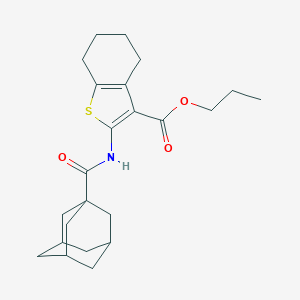 molecular formula C23H31NO3S B413071 Propyl 2-[(1-adamantylcarbonyl)amino]-4,5,6,7-tetrahydro-1-benzothiophene-3-carboxylate 