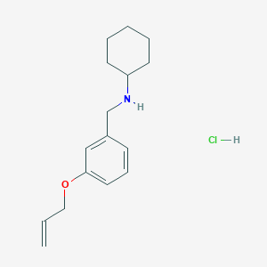molecular formula C16H24ClNO B4132764 N-[(3-prop-2-enoxyphenyl)methyl]cyclohexanamine;hydrochloride 