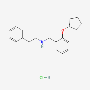 molecular formula C20H26ClNO B4135941 N-[(2-cyclopentyloxyphenyl)methyl]-2-phenylethanamine;hydrochloride 