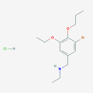 molecular formula C14H23BrClNO2 B4139094 N-[(3-bromo-5-ethoxy-4-propoxyphenyl)methyl]ethanamine;hydrochloride 