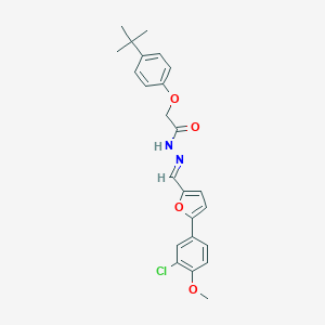 molecular formula C24H25ClN2O4 B414056 2-(4-tert-butylphenoxy)-N'-{[5-(3-chloro-4-methoxyphenyl)-2-furyl]methylene}acetohydrazide 
