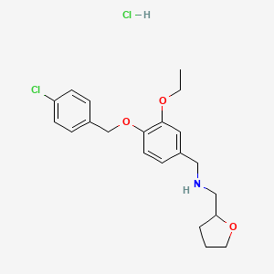 molecular formula C21H27Cl2NO3 B4141588 N-[[4-[(4-chlorophenyl)methoxy]-3-ethoxyphenyl]methyl]-1-(oxolan-2-yl)methanamine;hydrochloride 