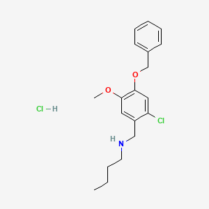 molecular formula C19H25Cl2NO2 B4142396 N-[4-(benzyloxy)-2-chloro-5-methoxybenzyl]-1-butanamine hydrochloride 