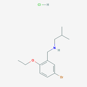 molecular formula C13H21BrClNO B4142595 N-[(5-bromo-2-ethoxyphenyl)methyl]-2-methylpropan-1-amine;hydrochloride 