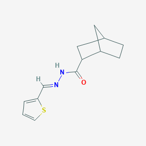 molecular formula C13H16N2OS B414585 N'-(2-thienylmethylene)bicyclo[2.2.1]heptane-2-carbohydrazide 
