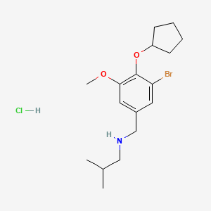 molecular formula C17H27BrClNO2 B4149270 N-[3-bromo-4-(cyclopentyloxy)-5-methoxybenzyl]-2-methyl-1-propanamine hydrochloride 