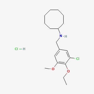 molecular formula C18H29Cl2NO2 B4149334 N-[(3-chloro-4-ethoxy-5-methoxyphenyl)methyl]cyclooctanamine;hydrochloride 