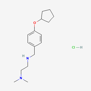 molecular formula C16H27ClN2O B4149412 N'-[4-(cyclopentyloxy)benzyl]-N,N-dimethyl-1,2-ethanediamine hydrochloride 