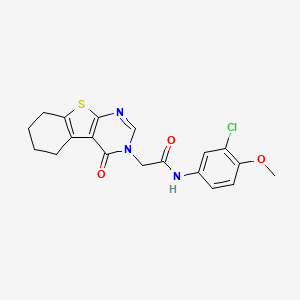 molecular formula C19H18ClN3O3S B4150861 N-(3-chloro-4-methoxyphenyl)-2-(4-oxo-5,6,7,8-tetrahydro[1]benzothieno[2,3-d]pyrimidin-3(4H)-yl)acetamide 
