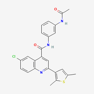 molecular formula C24H20ClN3O2S B4162101 N-(3-ACETAMIDOPHENYL)-6-CHLORO-2-(2,5-DIMETHYL-3-THIENYL)-4-QUINOLINECARBOXAMIDE 