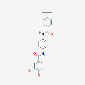 molecular formula C25H25BrN2O3 B416340 3-bromo-N-[4-[(4-tert-butylbenzoyl)amino]phenyl]-4-methoxybenzamide 