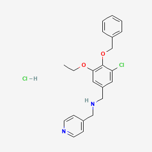 molecular formula C22H24Cl2N2O2 B4174130 N-[(3-chloro-5-ethoxy-4-phenylmethoxyphenyl)methyl]-1-pyridin-4-ylmethanamine;hydrochloride 