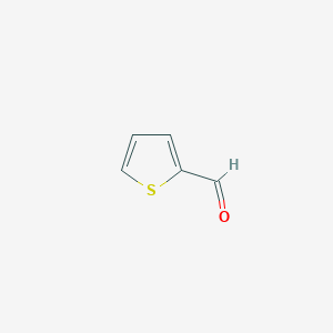 molecular formula C5H4OS B041791 2-Thiophenecarboxaldehyde CAS No. 98-03-3