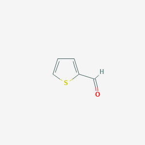 molecular formula C5H4OS B041791 Thiophene-2-carbaldehyde CAS No. 98-03-3