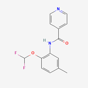 molecular formula C14H12F2N2O2 B4179993 N-[2-(difluoromethoxy)-5-methylphenyl]pyridine-4-carboxamide 