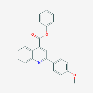 molecular formula C23H17NO3 B418206 Phenyl 2-(4-methoxyphenyl)quinoline-4-carboxylate CAS No. 329204-09-3