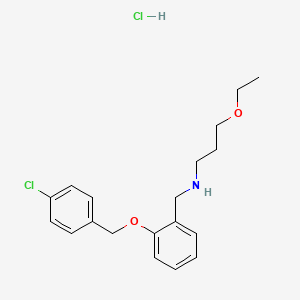 molecular formula C19H25Cl2NO2 B4188338 N-[[2-[(4-chlorophenyl)methoxy]phenyl]methyl]-3-ethoxypropan-1-amine;hydrochloride 