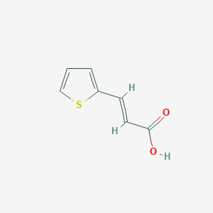 molecular formula C7H6O2S B042013 3-(2-Thienyl)acrylic acid CAS No. 15690-25-2