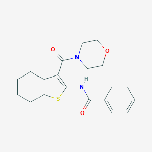 molecular formula C20H22N2O3S B421277 N-[3-(morpholine-4-carbonyl)-4,5,6,7-tetrahydro-1-benzothiophen-2-yl]benzamide CAS No. 312948-88-2