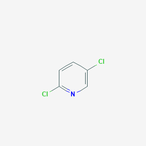 molecular formula C5H3Cl2N B042133 2,5-Dichloropyridine CAS No. 16110-09-1