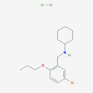 molecular formula C16H25BrClNO B4214810 N-[(5-bromo-2-propoxyphenyl)methyl]cyclohexanamine;hydrochloride 