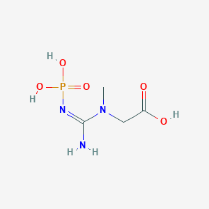 molecular formula C4H10N3O5P B042189 Phosphocreatine CAS No. 67-07-2