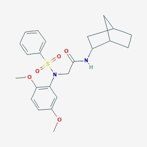 molecular formula C23H28N2O5S B422431 N-bicyclo[2.2.1]hept-2-yl-2-[2,5-dimethoxy(phenylsulfonyl)anilino]acetamide 