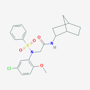 molecular formula C22H25ClN2O4S B422442 N-bicyclo[2.2.1]hept-2-yl-2-[5-chloro-2-methoxy(phenylsulfonyl)anilino]acetamide 