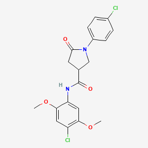 molecular formula C19H18Cl2N2O4 B4228245 N-(4-chloro-2,5-dimethoxyphenyl)-1-(4-chlorophenyl)-5-oxopyrrolidine-3-carboxamide 