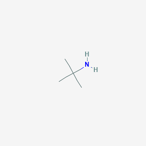 molecular formula C4H11N B042293 tert-Butylamine CAS No. 75-64-9