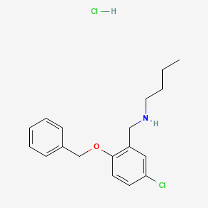 molecular formula C18H23Cl2NO B4230051 N-[(5-chloro-2-phenylmethoxyphenyl)methyl]butan-1-amine;hydrochloride 