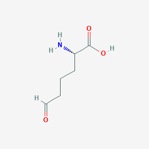 molecular formula C6H11NO3 B042369 L-allysine CAS No. 6665-12-9