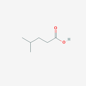 molecular formula C6H12O2 B042371 4-甲基戊酸 CAS No. 646-07-1