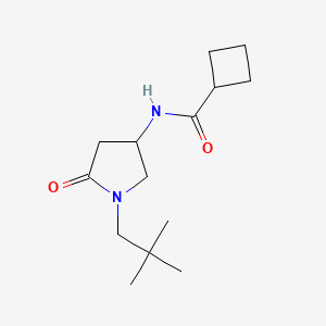 molecular formula C14H24N2O2 B4259355 N-[1-(2,2-dimethylpropyl)-5-oxopyrrolidin-3-yl]cyclobutanecarboxamide 