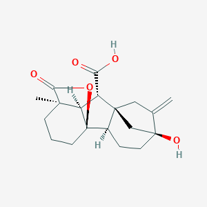 molecular formula C19H24O5 B042619 Gibberellin A20 CAS No. 19143-87-4