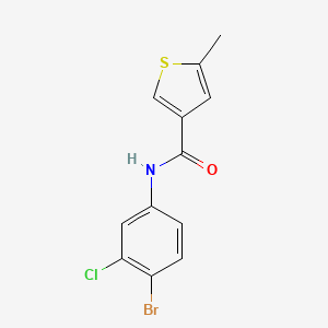 molecular formula C12H9BrClNOS B4265364 N-(4-bromo-3-chlorophenyl)-5-methylthiophene-3-carboxamide 