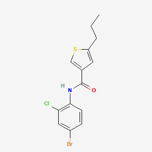 molecular formula C14H13BrClNOS B4265641 N-(4-bromo-2-chlorophenyl)-5-propylthiophene-3-carboxamide 