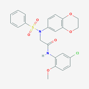 molecular formula C23H21ClN2O6S B426760 N-(5-chloro-2-methoxyphenyl)-2-[2,3-dihydro-1,4-benzodioxin-6-yl(phenylsulfonyl)amino]acetamide 