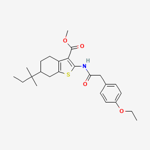 molecular formula C25H33NO4S B4267888 Methyl 2-{[(4-ethoxyphenyl)acetyl]amino}-6-(2-methylbutan-2-yl)-4,5,6,7-tetrahydro-1-benzothiophene-3-carboxylate 