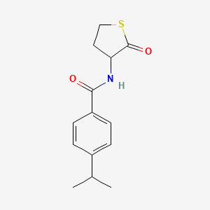 molecular formula C14H17NO2S B4268263 N-(2-oxotetrahydrothiophen-3-yl)-4-(propan-2-yl)benzamide 